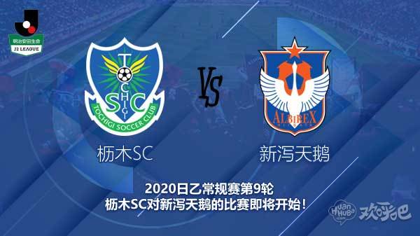 枥木SC对新泻天鹅新闻 天鹅能否持续保持不败?