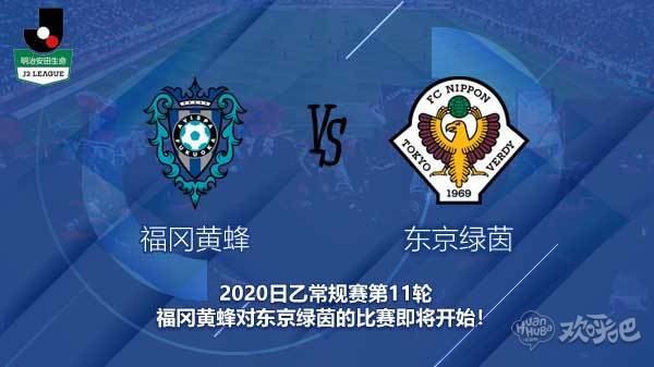 福冈黄蜂对东京绿茵新闻 黄蜂队能否保持不败战绩