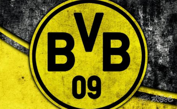 多特蒙德欧冠大名单:罗伊斯因伤落选