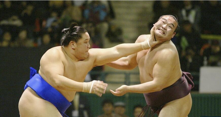 日本相扑