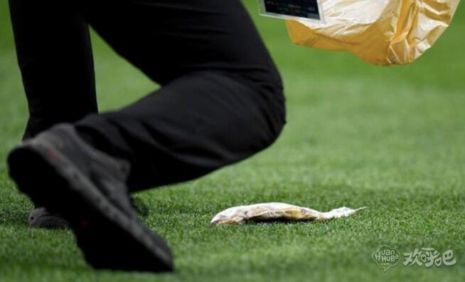英媒：英格兰克罗地亚比赛中被扔进一条死鱼