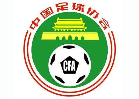 足协：辽足球员信息造假，将禁赛5个月