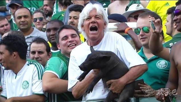 帕尔梅拉斯球迷抱猪进场看球