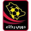 沙特阿拉伯甲级联赛